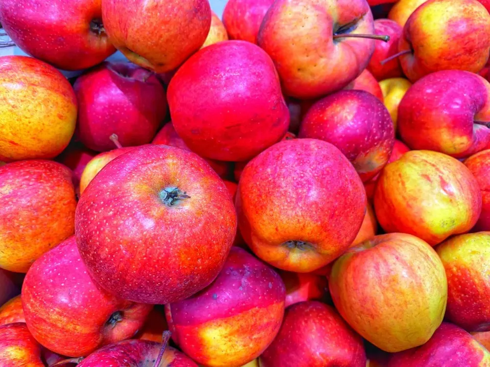 Яблоки с пестицидами найдены в гипермаркетах Биробиджана