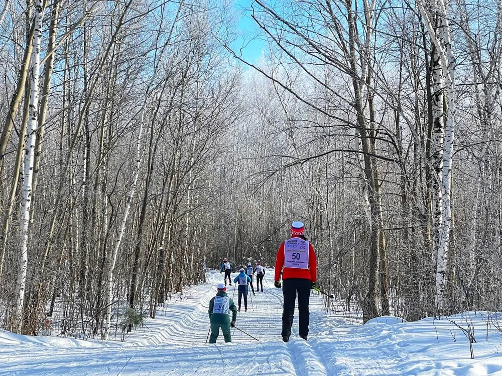 Фестиваль, лыжная гонка, футбол, хоккей, шахматы - мероприятия на выходных в Биробиджане