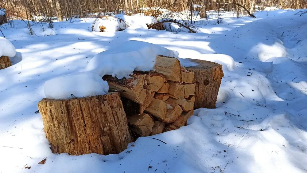 Билеты на заготовку дров начали выдавать жителям ЕАО