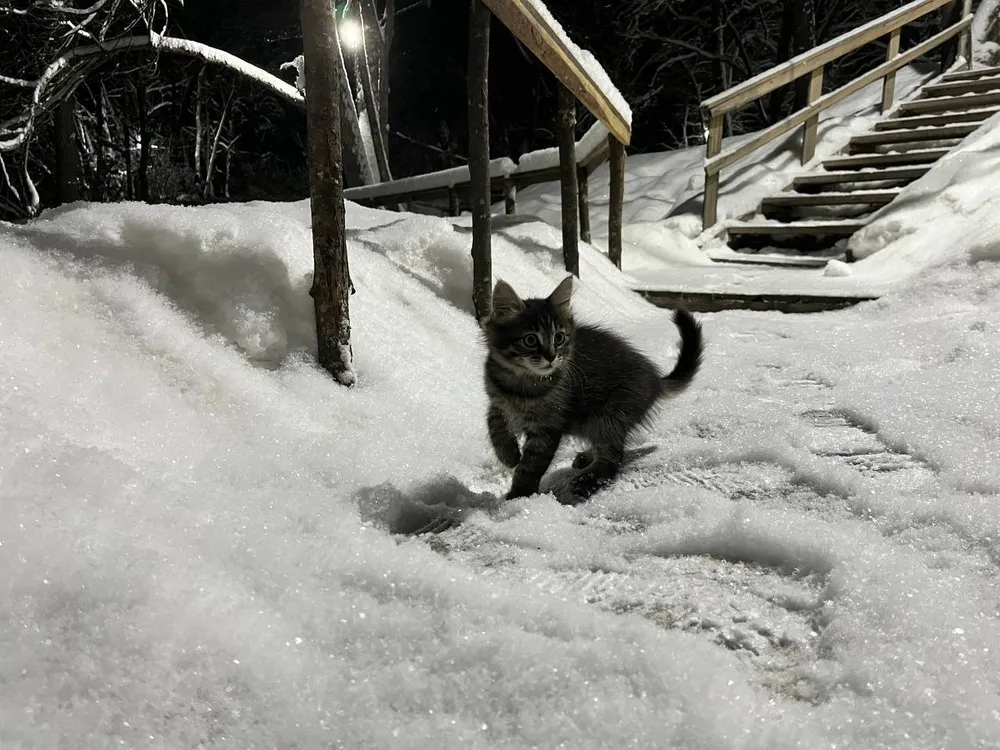 Переменная облачность, местами снег - прогноз погоды на субботу в ЕАО