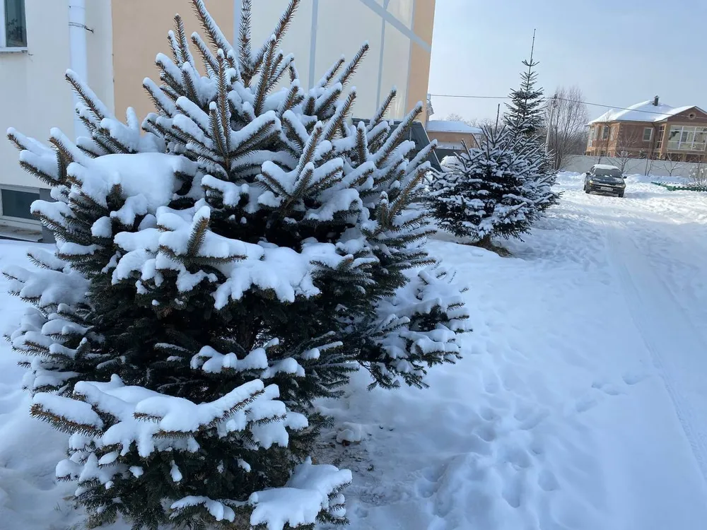 Тепло и снежно будет в пятницу в ЕАО