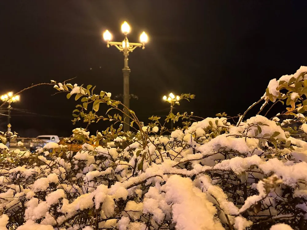 Снежный циклон с метелью накроет Хабаровск до конца недели