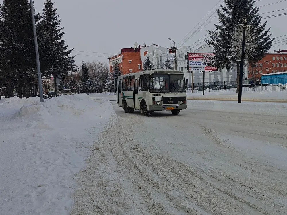 Переломала ребра во время работы кондуктор автобуса в Биробиджане