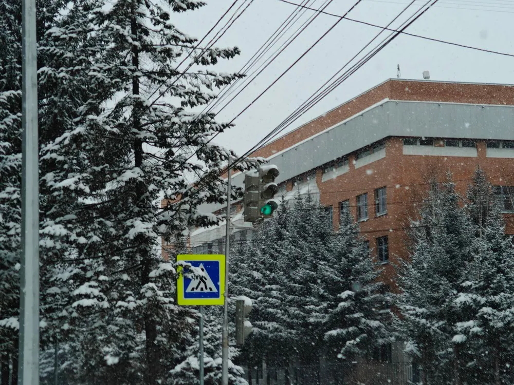 Снег, туман, местами сильный ветер: прогноз погоды на 5 февраля в ЕАО