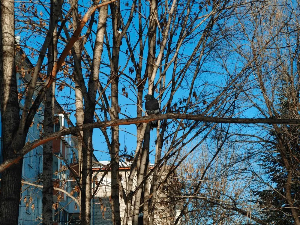 Повышенное давление и переменная облачность: прогноз погоды на 22 февраля