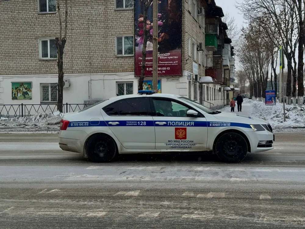 Масштабный рейд «Нетрезвый водитель» прошел в ЕАО