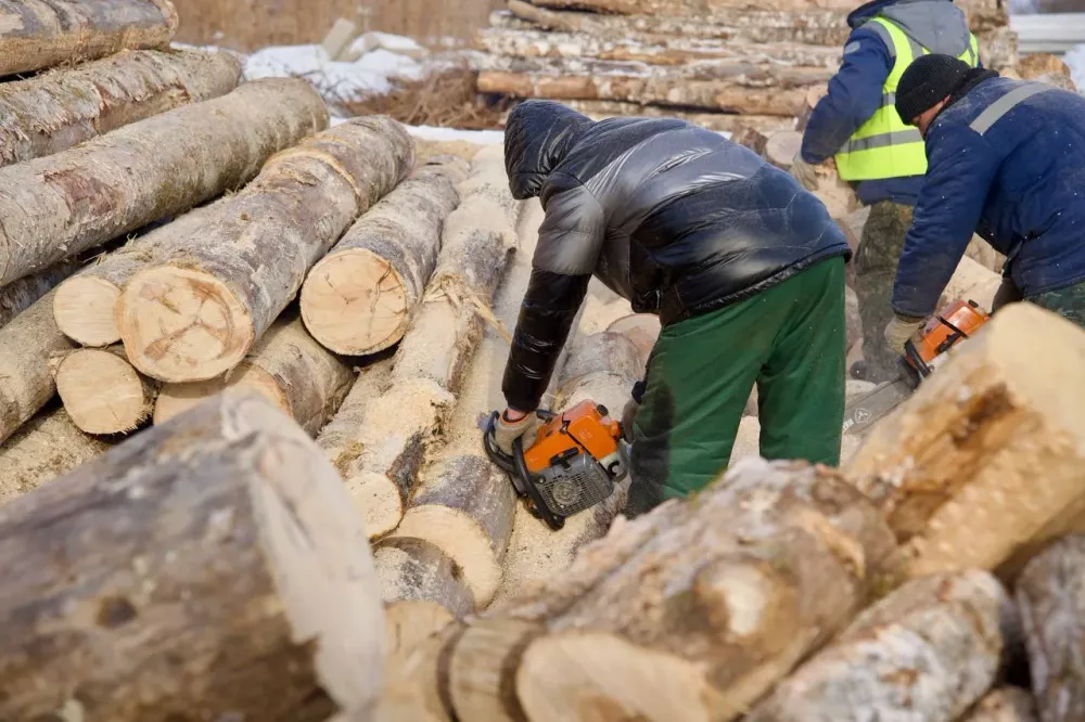 В одном из сел ЕАО поймали черного лесоруба и отдали под суд