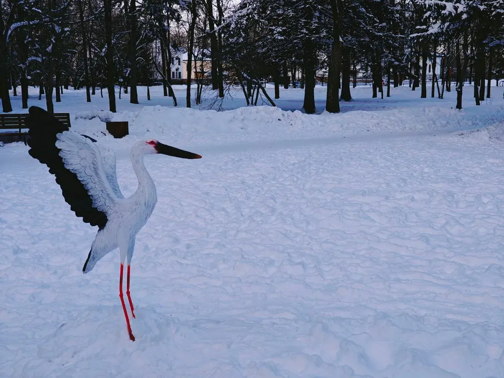 Ясная погода и низкое давление - прогноз погоды в ЕАО на 13 февраля