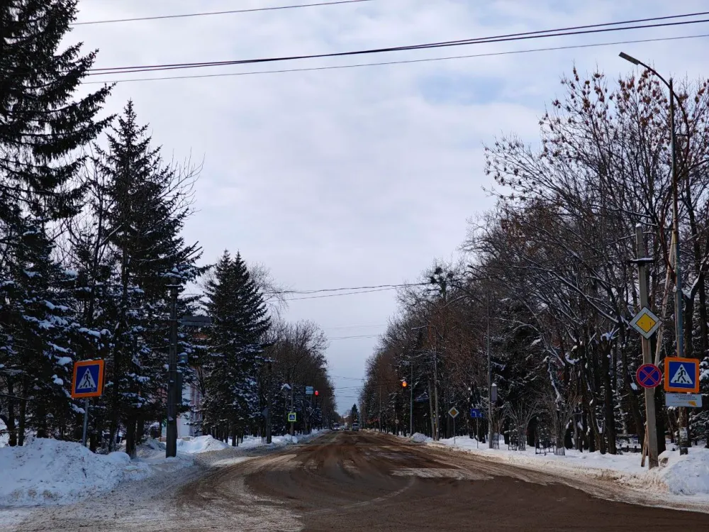 Пасмурно, но без осадков будет в ЕАО в среду