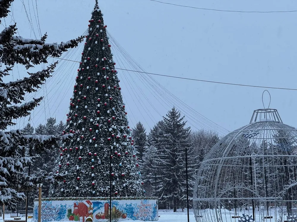 Когда уберут новогодний городок в Биробиджане, рассказали в мэрии