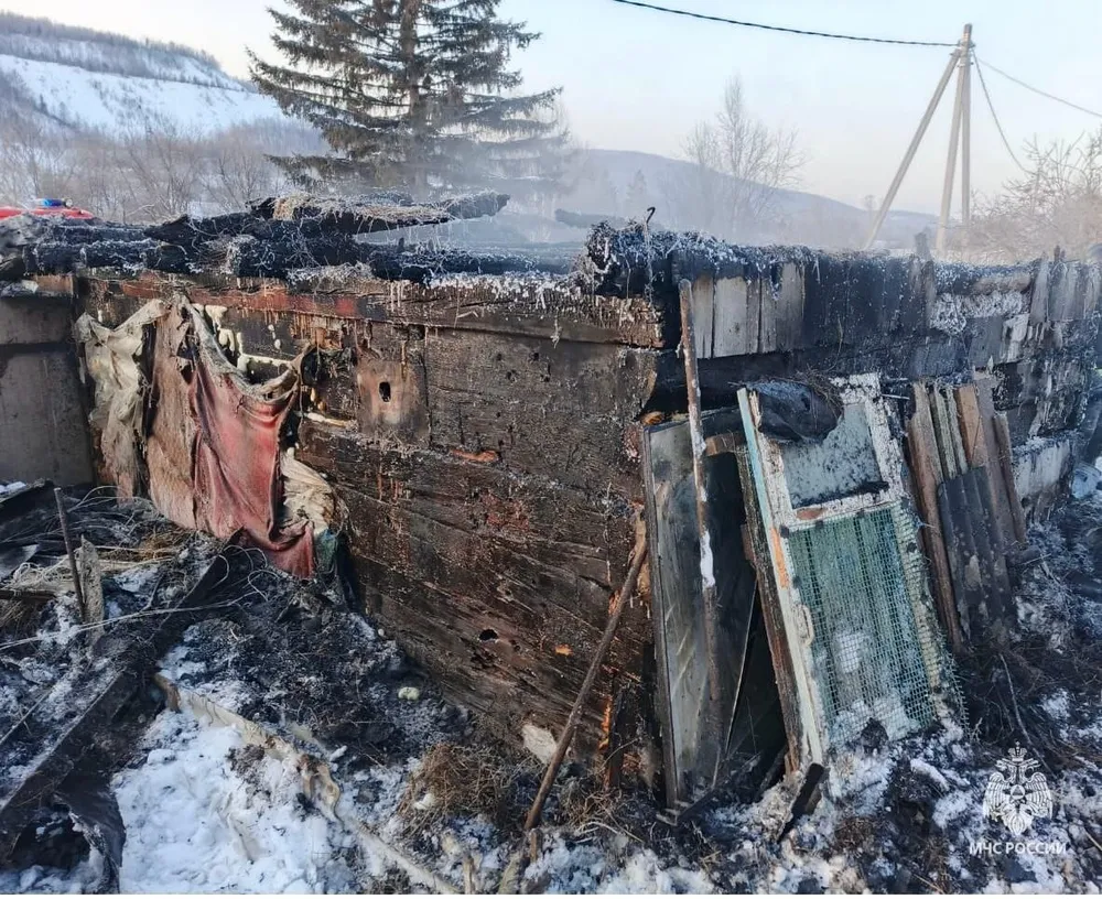 Хотела согреть курей и спалила их заживо жительница ЕАО