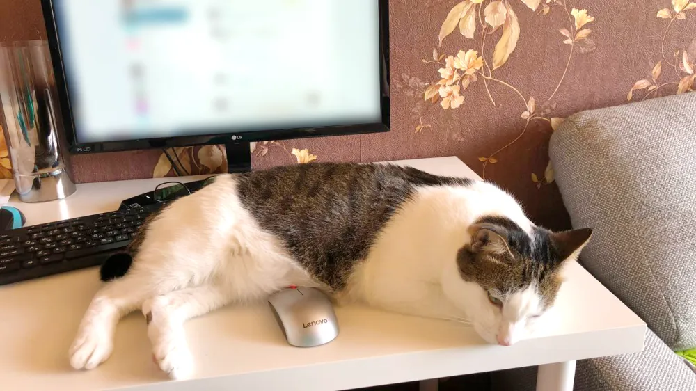 Что россияне считают несправедливым в работе и как относятся к переработкам, рассказал Вебер