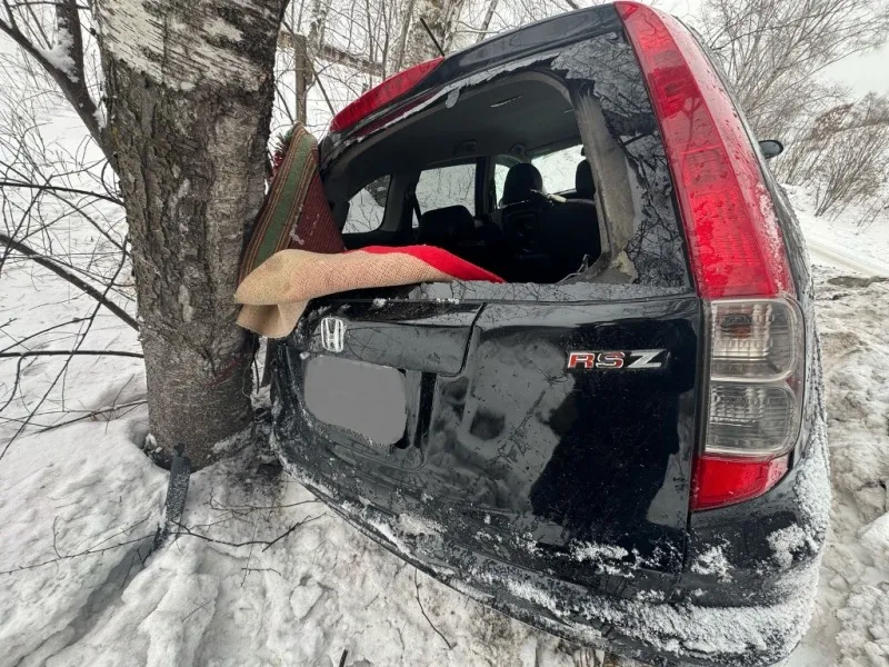 Въехал в дерево водитель в Биробиджане
