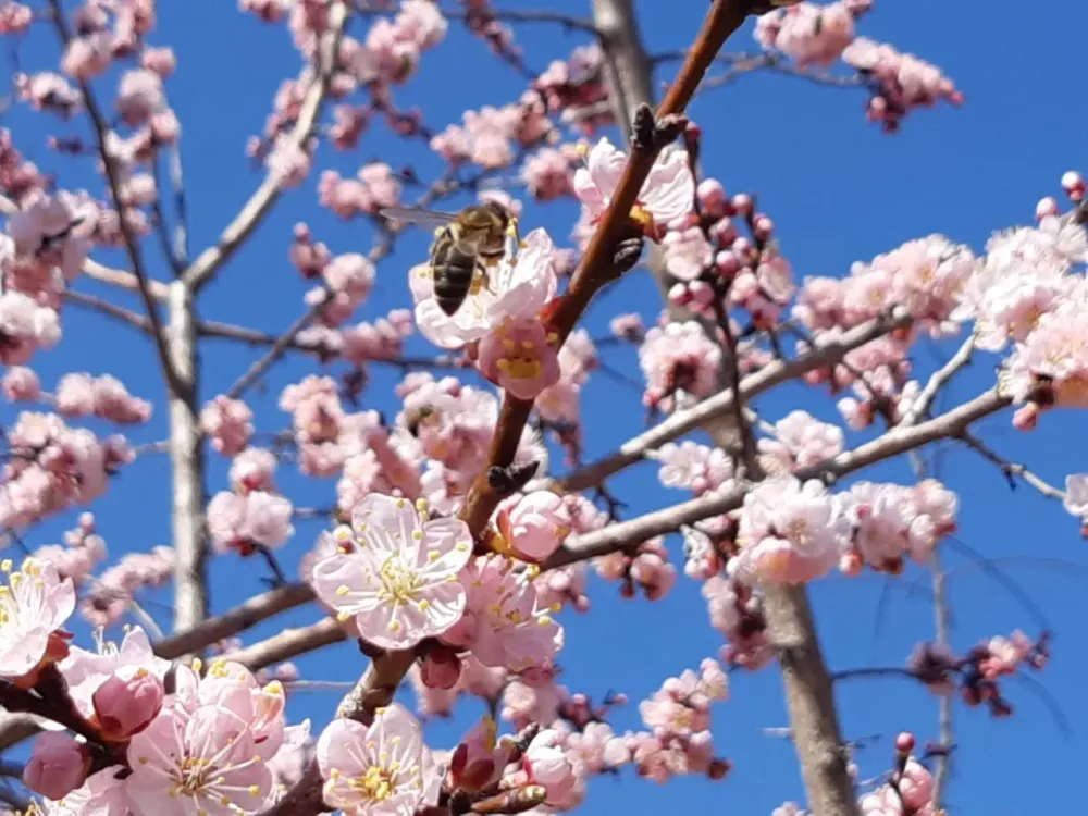 Апрельский календарь: праздники, выходные и идеальные дни для отдыха