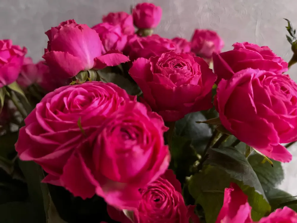 Мероприятия, посвященные 8 марта, детский спектакль - дайджест событий на выходных в Биробиджане