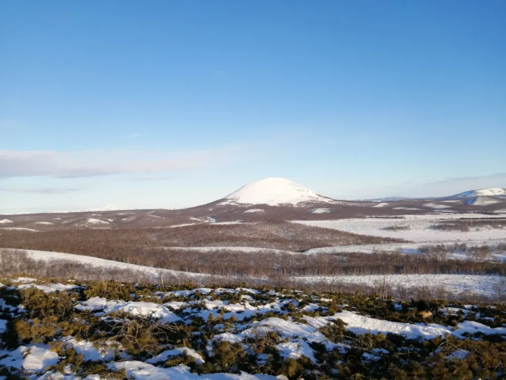 Гороскоп на 31 марта: Дева само спокойствие,а Весы быстро принимают решения