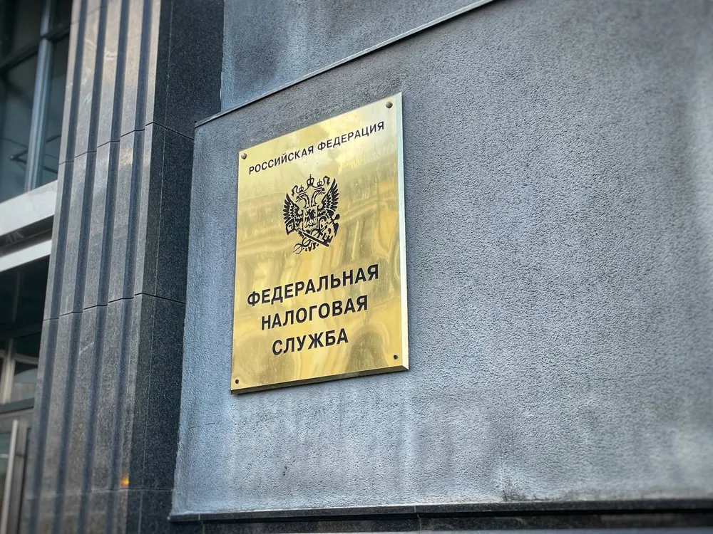 Иначе штрафы: должны представить онлайн в ФНС годовую отчетность организации ЕАО