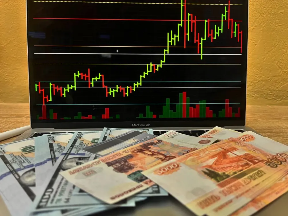 Заманила в финансовую пирамиду знакомого биробиджанка, он лишился почти 300 тысяч рублей