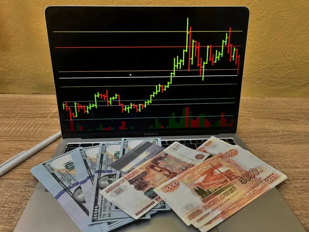 Сам «слил» около 1 млн рублей мошенникам и взял кредит на сестру житель ЕАО