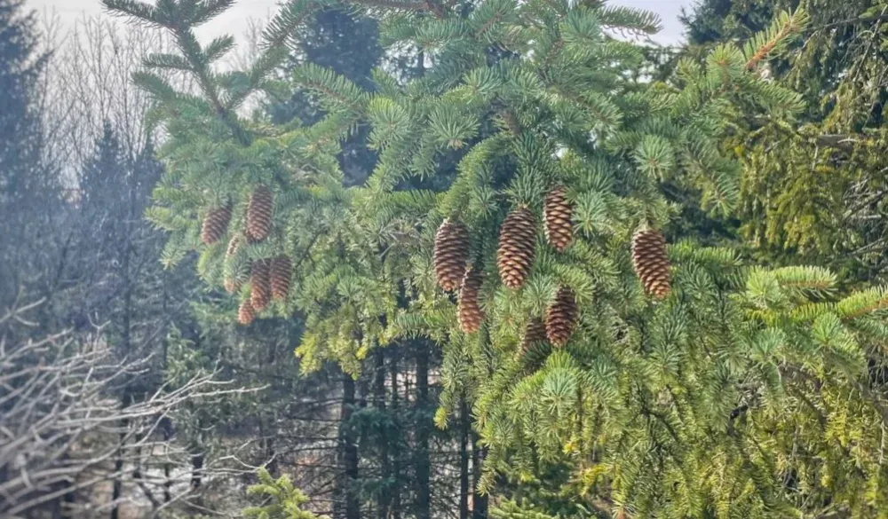 Гороскоп на 2 марта: Девам стоит развлечься, а Весы ожидают перемены в жизни