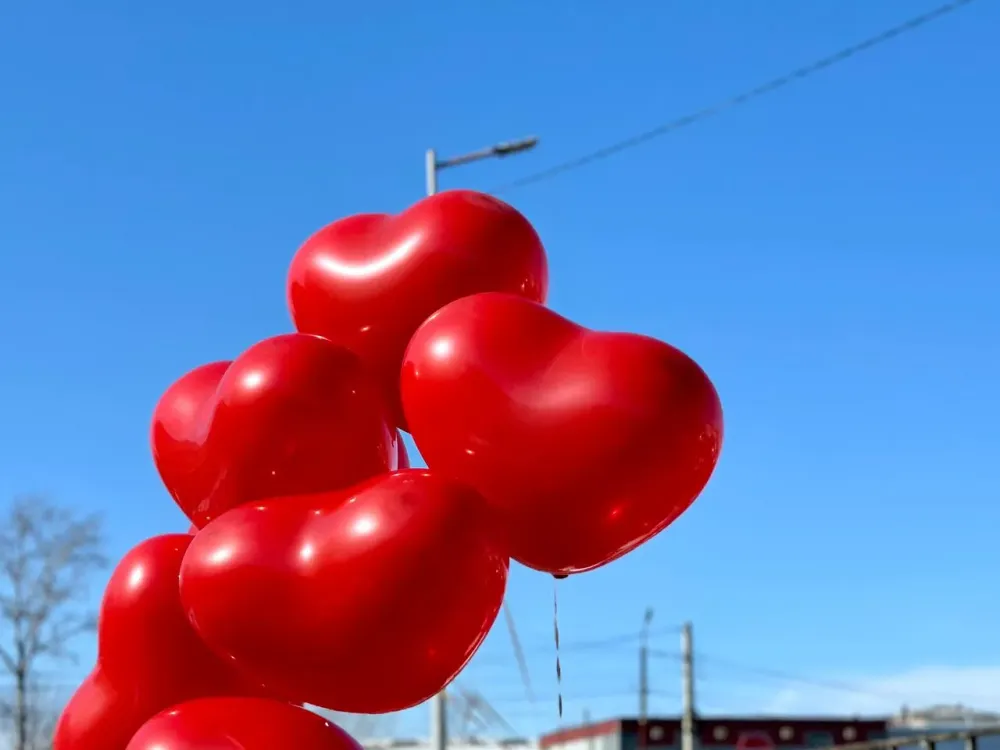 Весна 2025 года: шесть знаков зодиака ощутят удачу и новые возможности