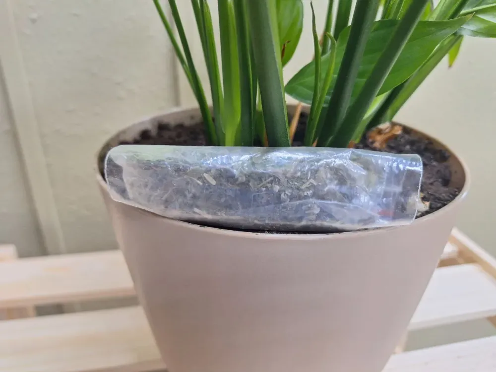 Рецидивистку с крупной партией наркотиков задержали в Октябрьском районе ЕАО