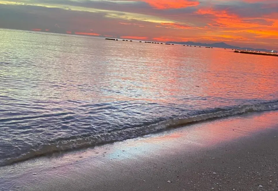 Гороскоп на 28 марта: Раков будет раздражать назойливое окружение, а Стрельцы поспорят с родными