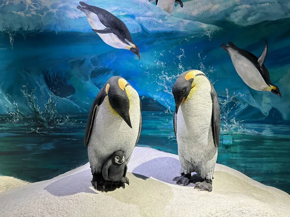 Гороскоп на 2 апреля: Тельцы, плывите по течению, Водолеи, ваши ожидания оправдаются