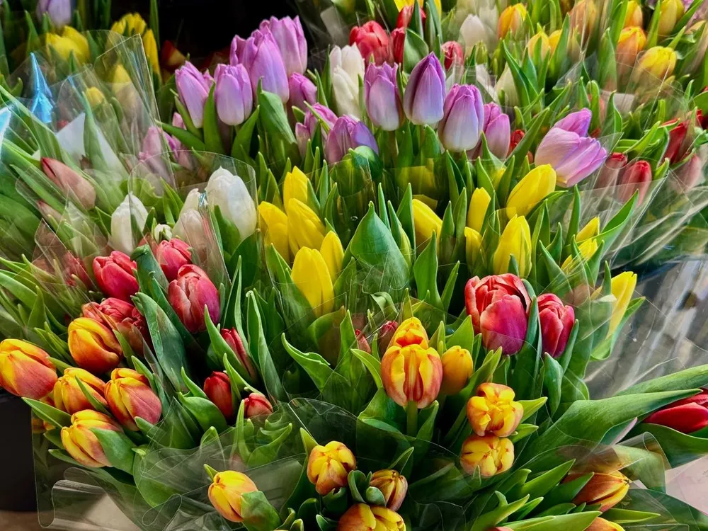 Режим работы социальных учреждений в праздничные дни в Биробиджане