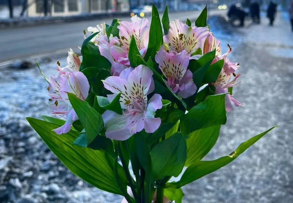 Прогноз погоды на 8 марта в ЕАО