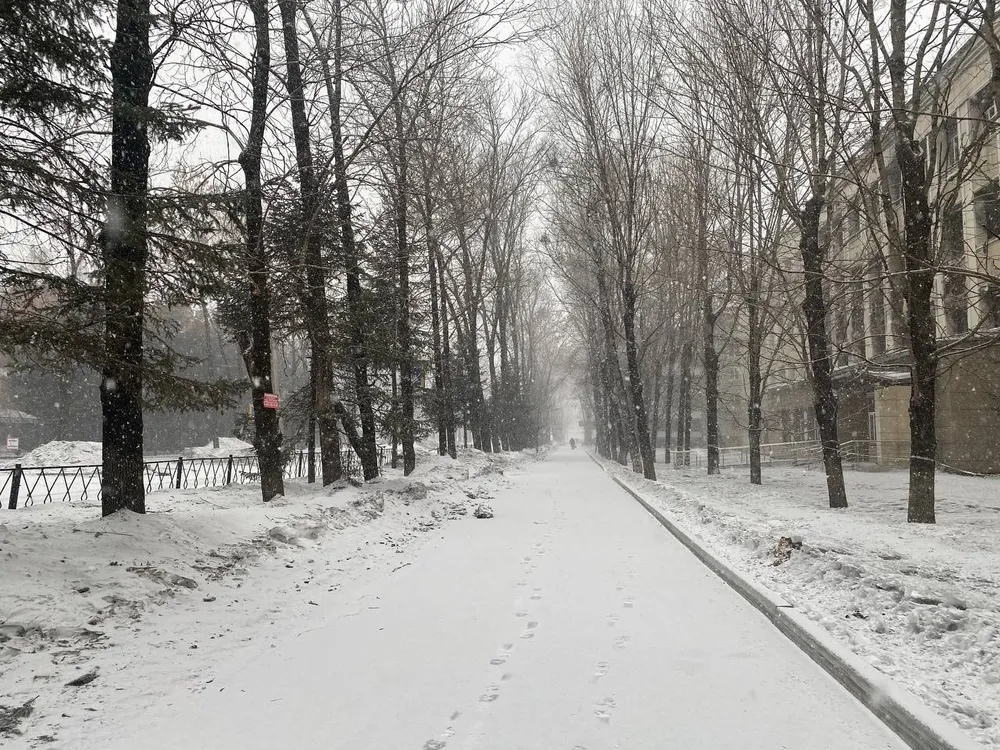 Снег с дождем и до +7: синоптики рассказали о погоде в ЕАО на этой неделе