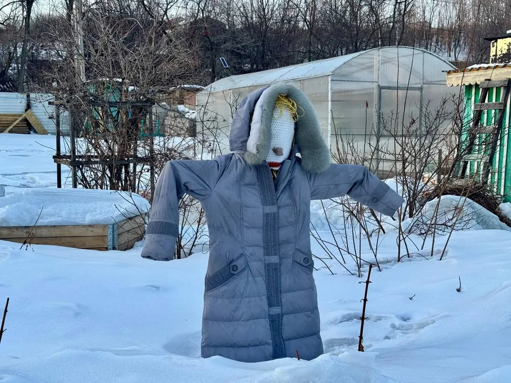 Дачников предупредили о новом налоге за земельные участки