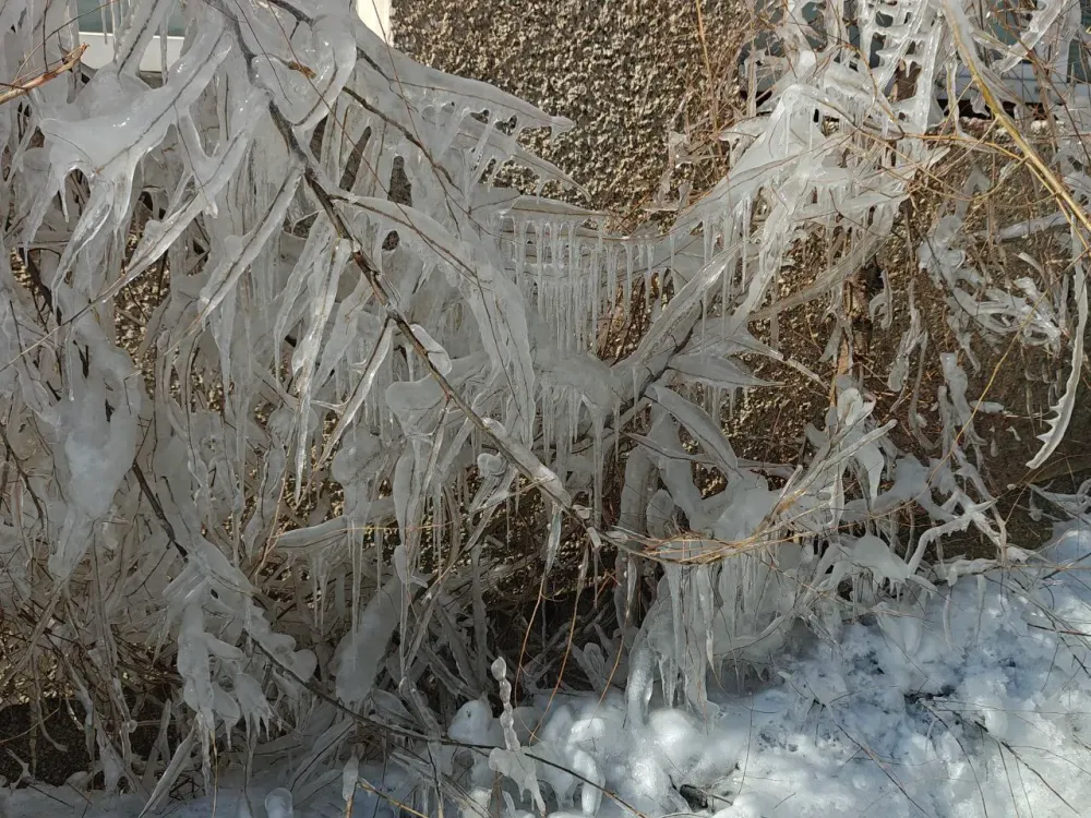 Крупный штраф прилетел главе управляйки в ЕАО из-за снега на придомовой территории