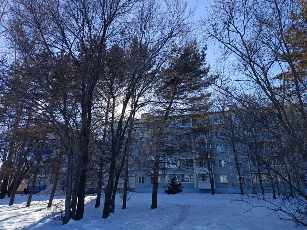 Ветрено и ясно: прогноз погоды на 26 марта в ЕАО