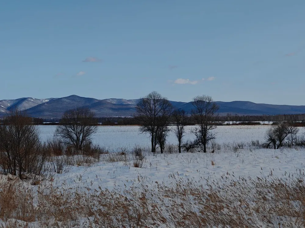 Переменная облачность и ветер: прогноз погоды на 29 марта в ЕАО