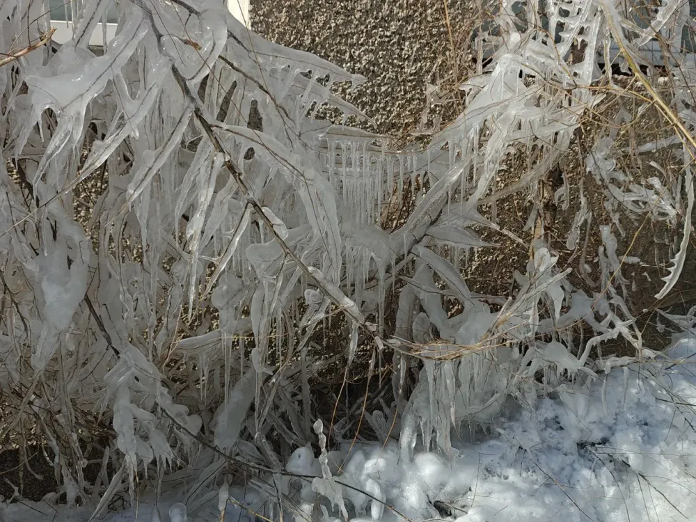 Переменная облачность и ветер: прогноз погоды на 25 марта в ЕАО