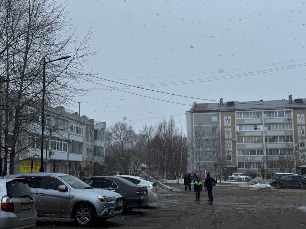 Снег и туман будет 31 марта в Биробиджане