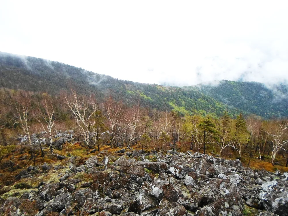 Пожароопасный сезон в ЕАО проходит под надзором спецслужб