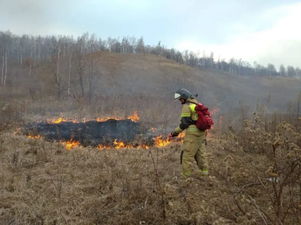 Отжиги сухой травы начали проводить в ЕАО