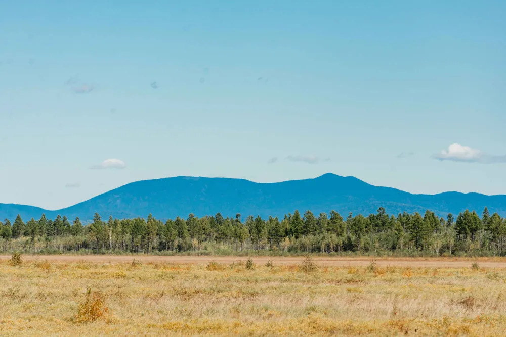 Весенний охотничий сезон открывается в ЕАО