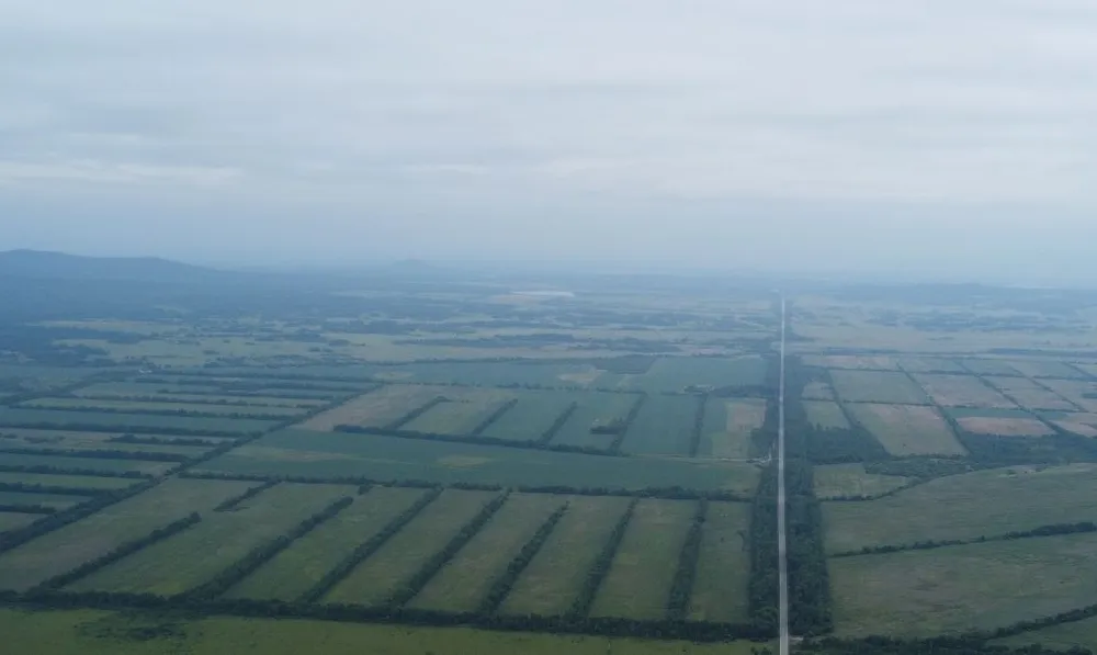 Саботируют выделение «дальневосточных гектаров» чиновники в ЕАО