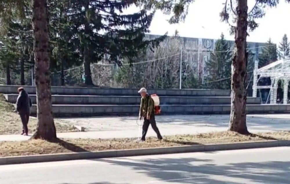 Общественные места уже обработали от клещей в Биробиджане