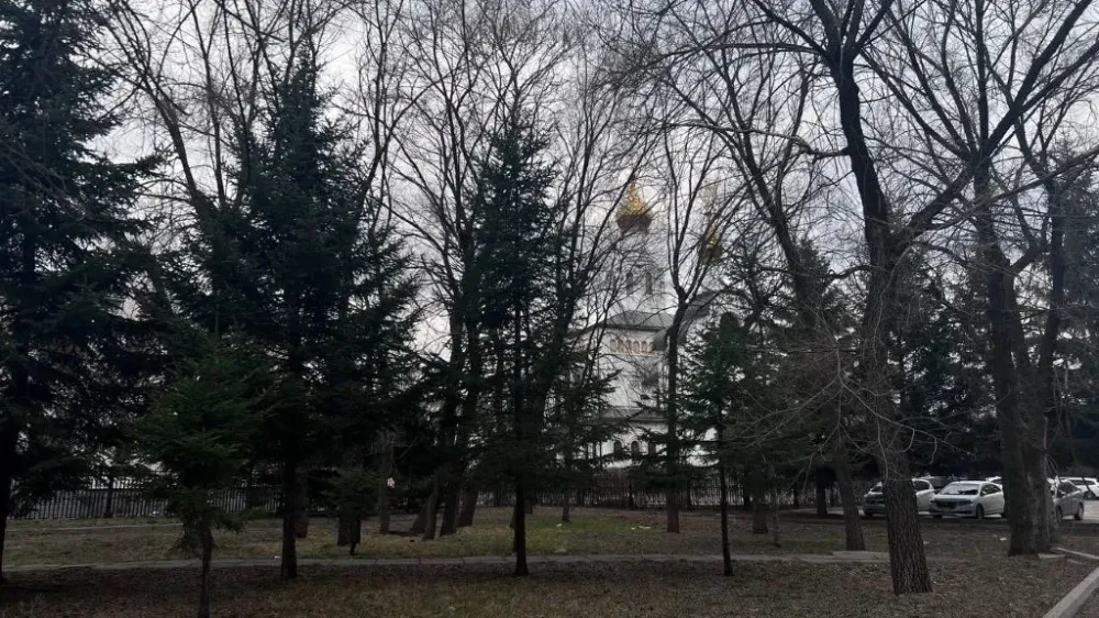 Переменная облачность и ветер: погода на 30 апреля в ЕАО