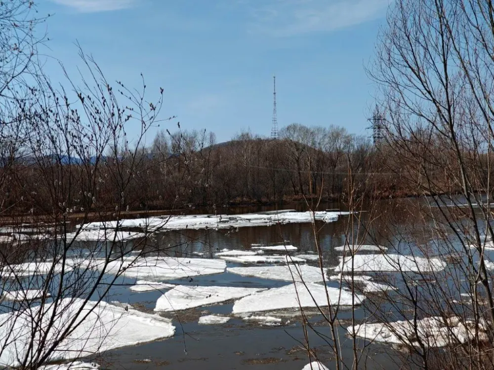 Небольшой дождь и слабый ветер: погода на 15 апреля в ЕАО