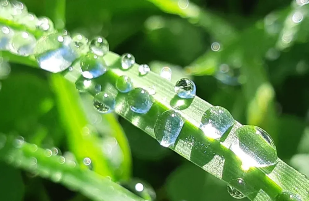 Гороскоп на 21 апреля: Близнецам пора рискнуть, а Рыбам довериться своим чувствам