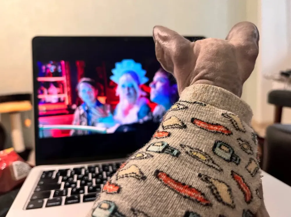 Эксперты назвали основные ошибки при работе с интернет-браузером