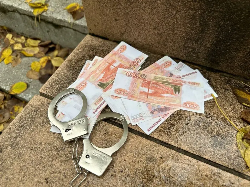 Взяла 30 млн рублей у знакомых на покупку квартир в Сочи и пропала с деньгами биробиджанка