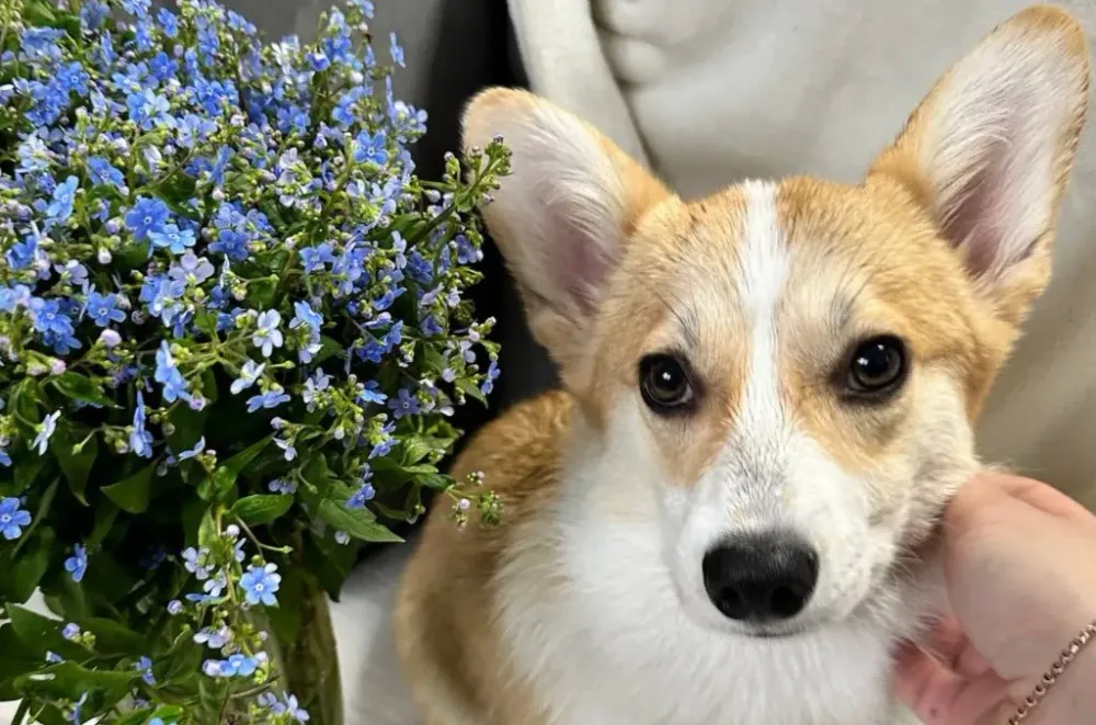 Гороскоп на 2 мая: Раки — расставьте приоритеты, Стрельцы — проявите гибкость