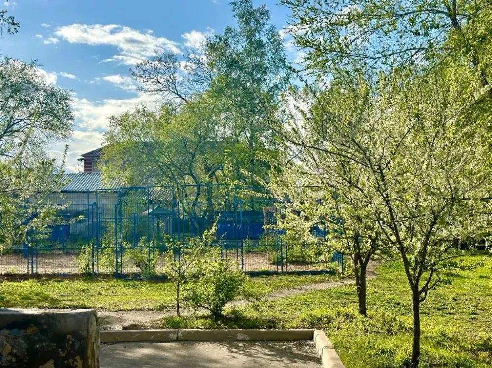 Тридцать мест выбрали в ЕАО для акции «Сад памяти»