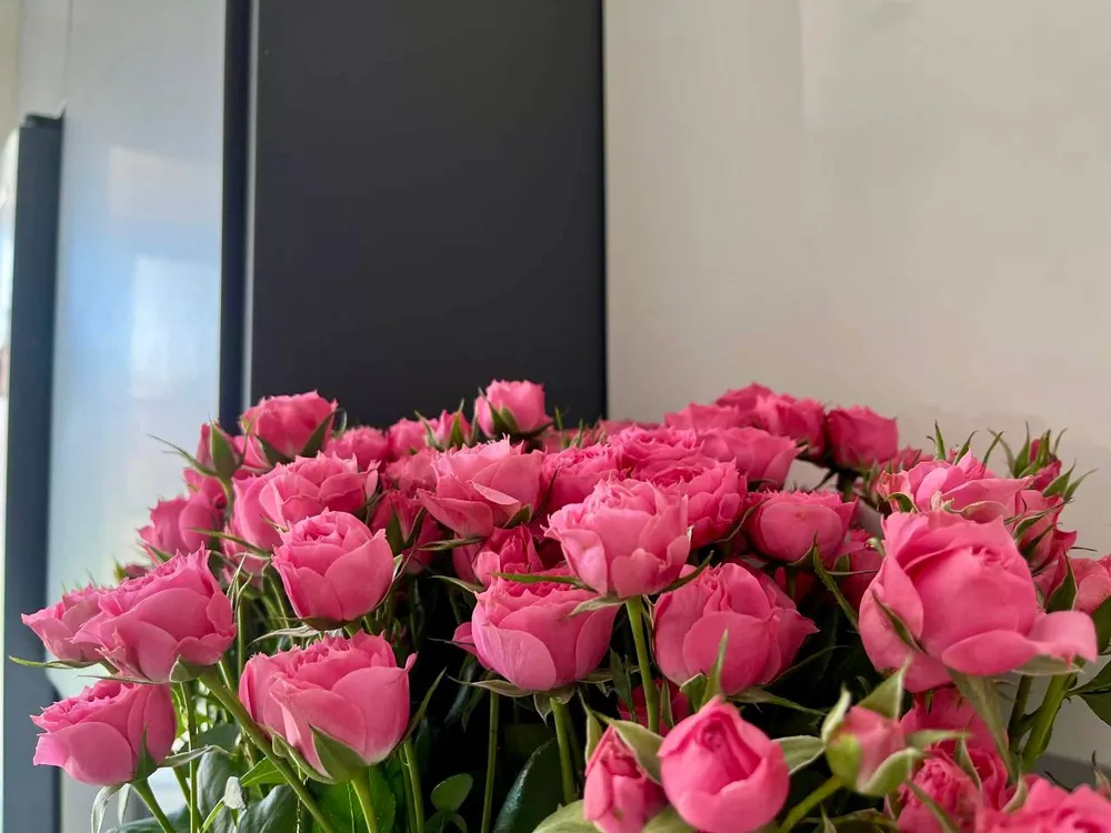 Гороскоп на 29 апреля: Овны, пригласите гостей, Рыбы, отложите дела на потом